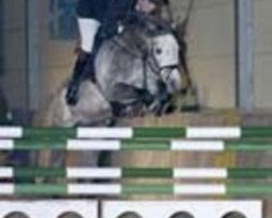 Deckhengst Alaskatraum (Trakehner, 1999, von Abdullah)