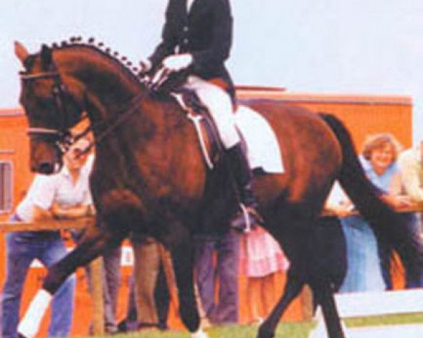 stallion Patricius xx (Thoroughbred, 1972, from Kaiseradler xx)
