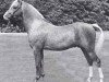 stallion Tetworth Nijinski (Welsh-Pony (Section B), 1969, from Lydstep Barn Dance)