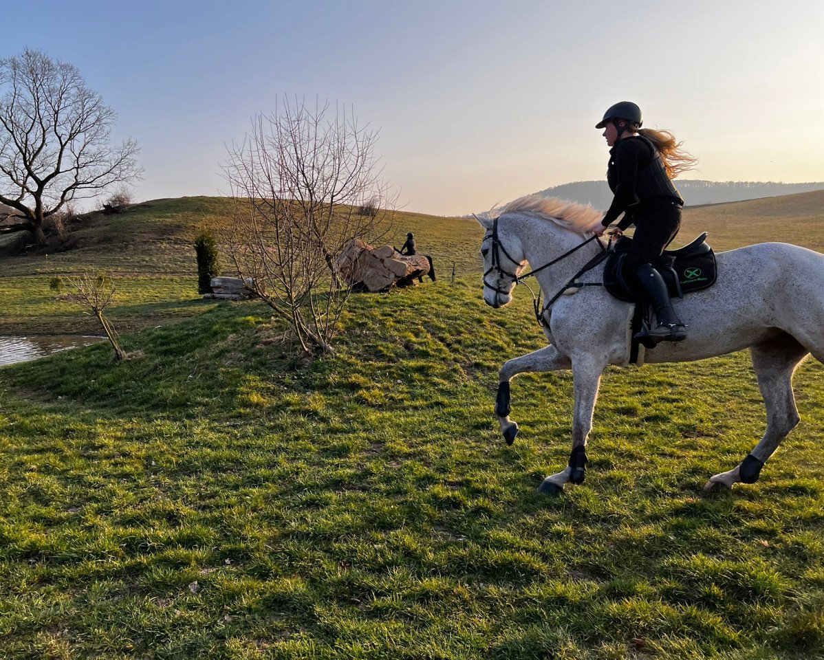 jumper Cassy 102 (Holsteiner, 2012, from Cassin 2)