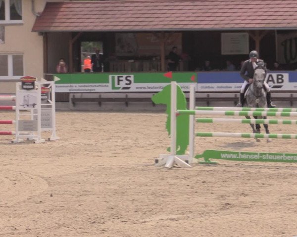 Reitturnier Lgl.-Oberhain, B95 2022