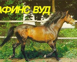 stallion Athens Wood xx (Thoroughbred, 1968, from Celtic Ash xx)