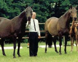 Zuchtstute Kanessa (Trakehner, 1983, von Schwalbenherbst)