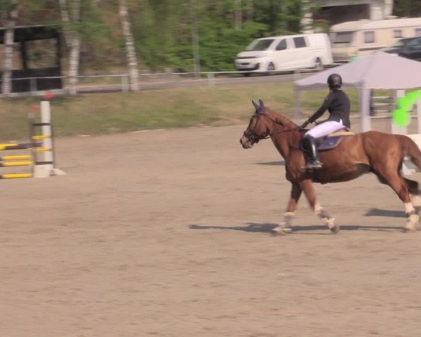Reitturnier Lgl.-Oberhain, B95 2022