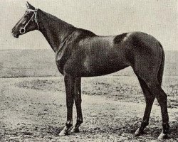 broodmare Pesenka II xx (Thoroughbred, 1948, from Cyclonic xx)