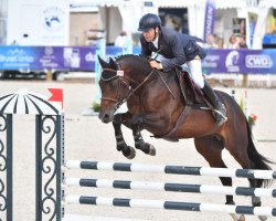 stallion Hectorius de Rima (Selle Français, 2017, from Aldo du Plessis)