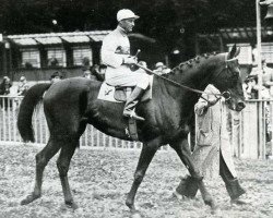 stallion Vatellor xx (Thoroughbred, 1933, from Vatout xx)