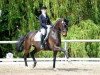 dressage horse La Fiona (Bavarian, 2005, from Florestano)