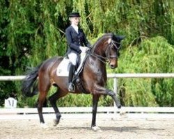 dressage horse La Fiona (Bavarian, 2005, from Florestano)