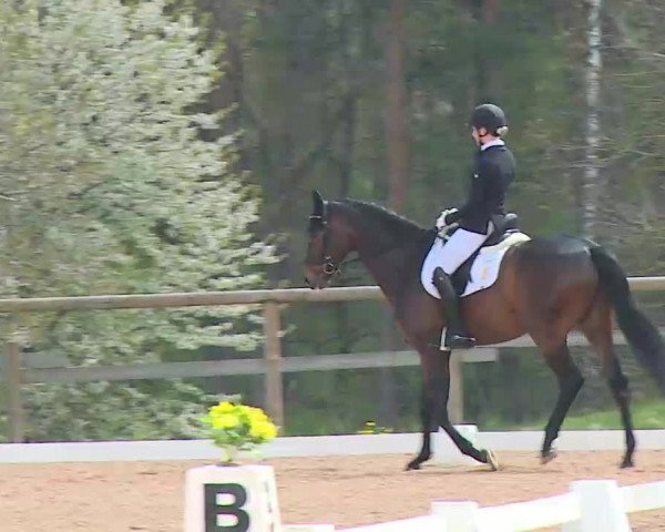 Reitturnier Kreuth/Opf. 2022