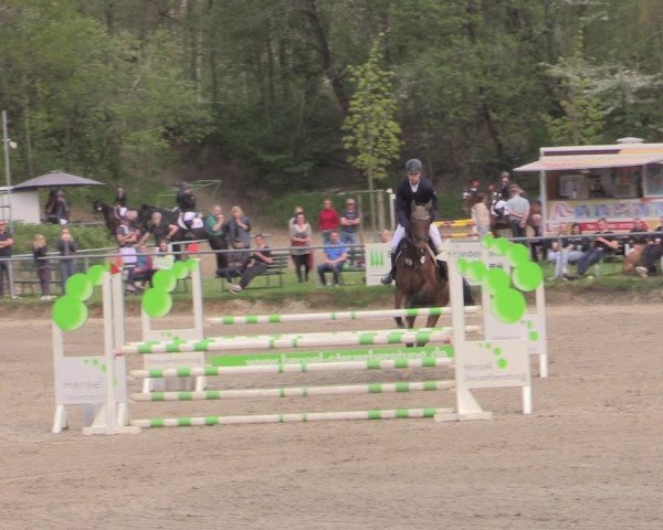 Reitturnier Lgl.-Oberhain, B95 2022