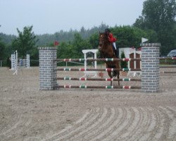 broodmare Puenktchen (Holsteiner, 2000, from Locato)