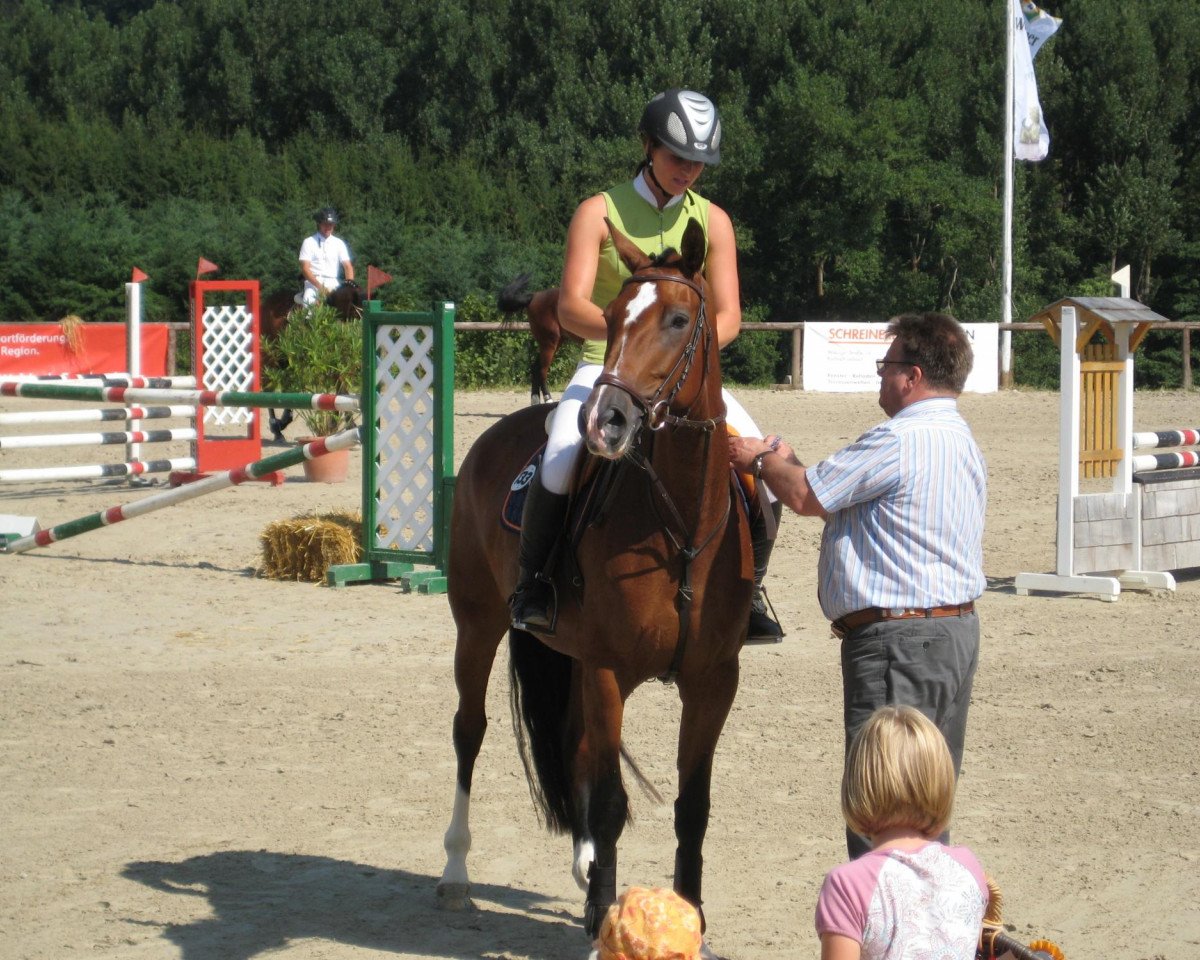 broodmare Colleta (Oldenburg, 2006, from Cracker Jack 5)