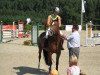 broodmare Colleta (Oldenburg, 2006, from Cracker Jack 5)