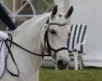 dressage horse Bella Donna 129 (unknown, 2009)