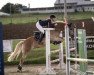 jumper Amy (Haflinger, 2010, from Alabaster B)