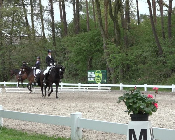 Reitturnier Meppen 2022