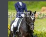 dressage horse Veni Vidi Vici 27 (unknown, 2012, from Veivel R)