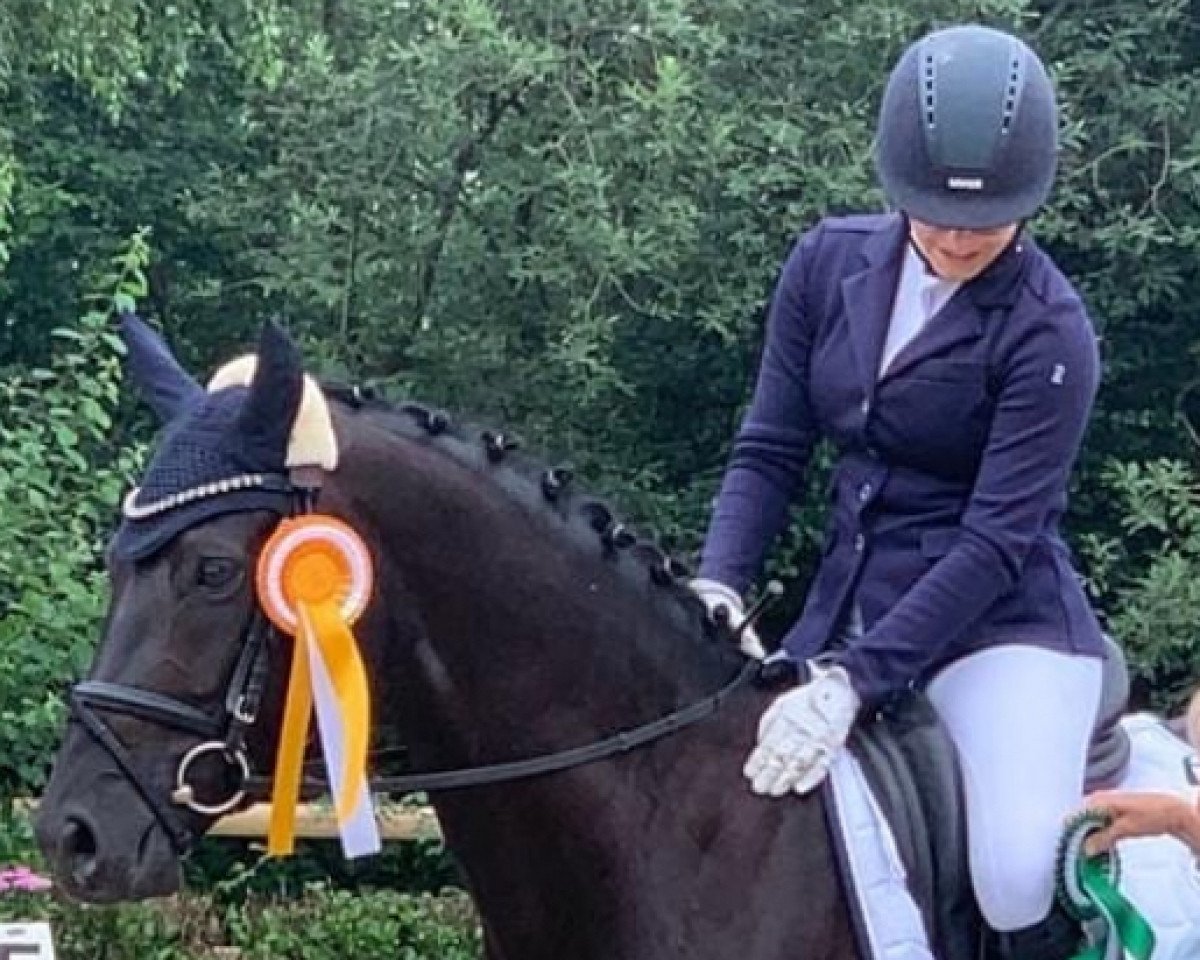 dressage horse Dynamic Dyana (Westphalian, 2017, from Damon Hill)