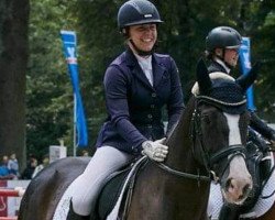 dressage horse Belleza Negra (Westphalian, 2016, from Baccardi)