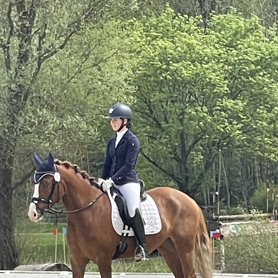 Dressurpferd Dancing Sunshine (Deutsches Reitpony, 2019, von Diamond Touch NRW)