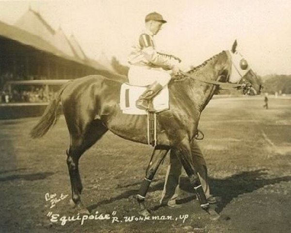 stallion Equipoise xx (Thoroughbred, 1928, from Pennant xx)