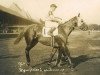 stallion Equipoise xx (Thoroughbred, 1928, from Pennant xx)