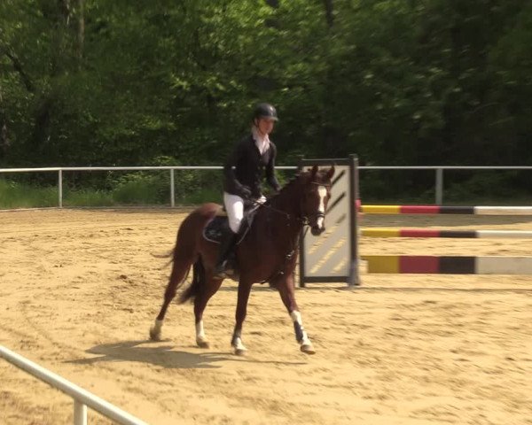 Reitturnier Dinslaken-Hiesfeld 2022
