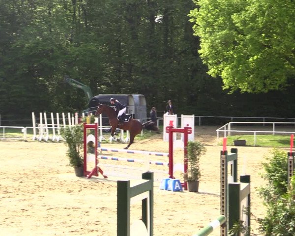 Reitturnier Dinslaken-Hiesfeld 2022