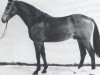 horse Lesanto (Holsteiner, 1988, from Landgraf I)