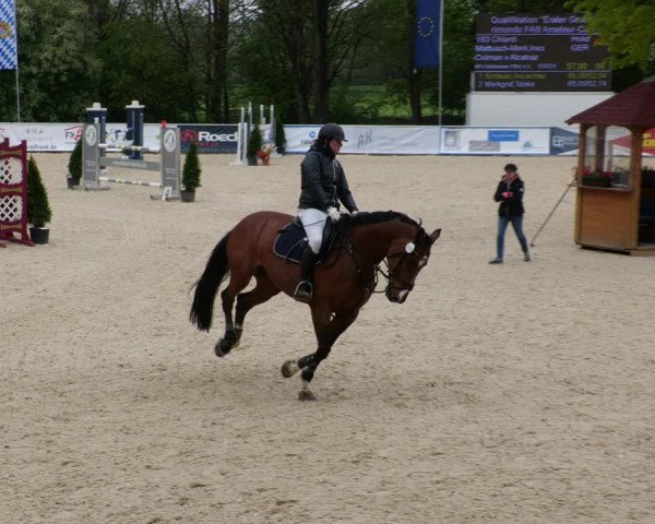 Reitturnier Karlsfeld 2022