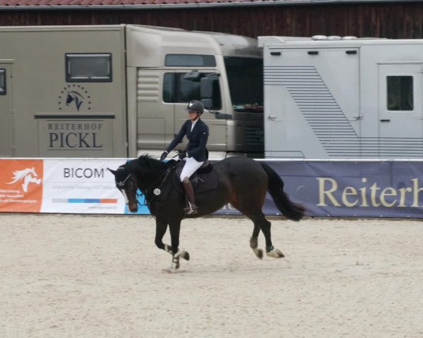 Reitturnier Karlsfeld 2022