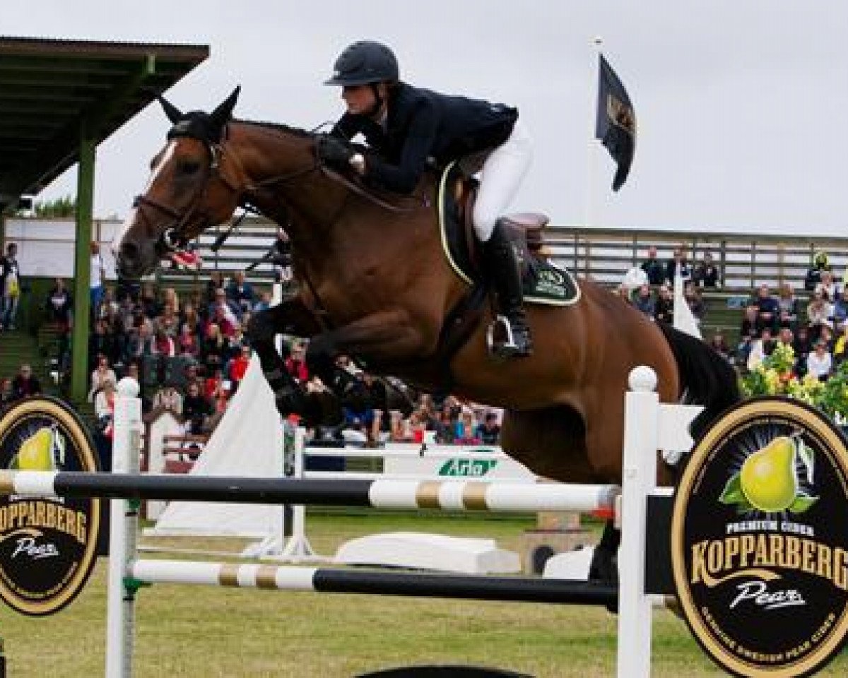 Springpferd Nice Stephanie (Schwedisches Warmblut, 2004, von VDL Cardento 933)