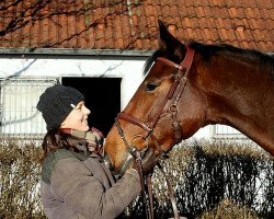 dressage horse Newmix (German Warmblood, 2007, from New Time)