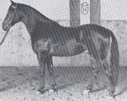 stallion Fontan (Holsteiner, 1968, from Farnese 3804)