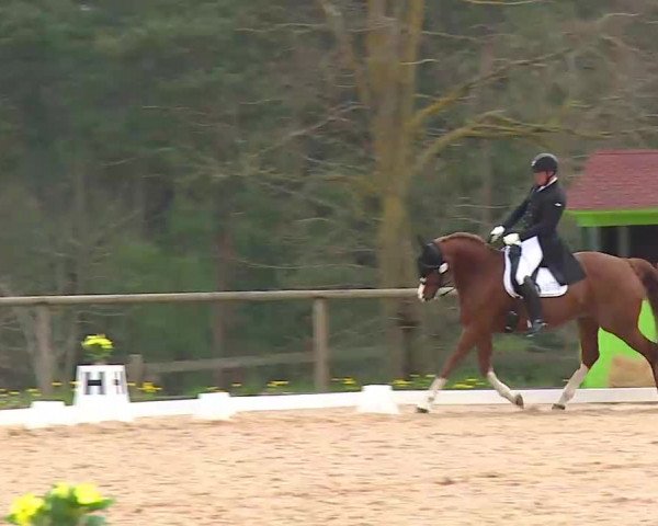 Reitturnier Kreuth/Opf. 2022