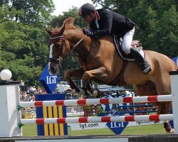 jumper L’espoir (Zangersheide riding horse, 1996, from Landwind II)