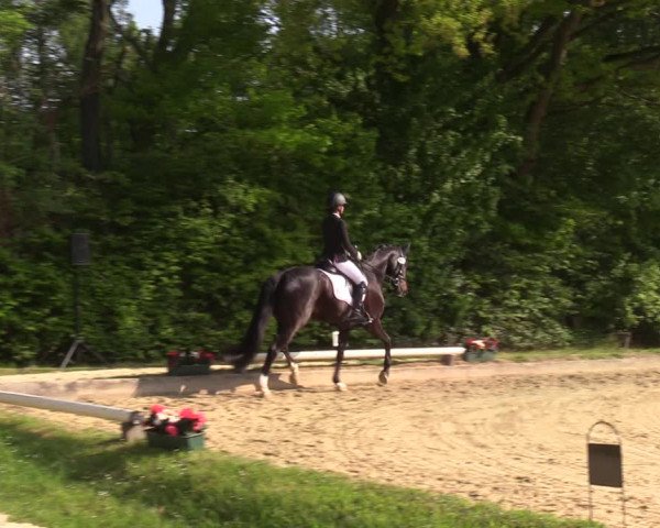 Reitturnier Dinslaken-Hiesfeld 2022