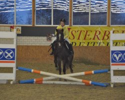 dressage horse Nantano 15 (German Riding Pony, 1995, from Naxus)