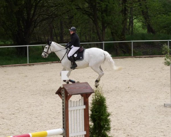 Reitturnier Karlsfeld 2022