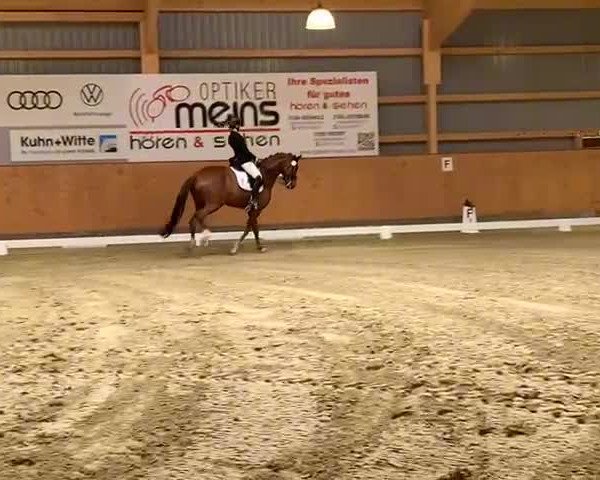 Video of Pramwaldhof's Don Basti