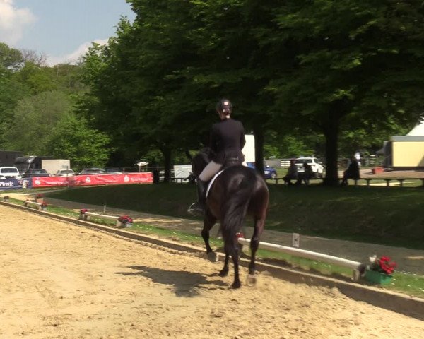 Reitturnier Dinslaken-Hiesfeld 2022