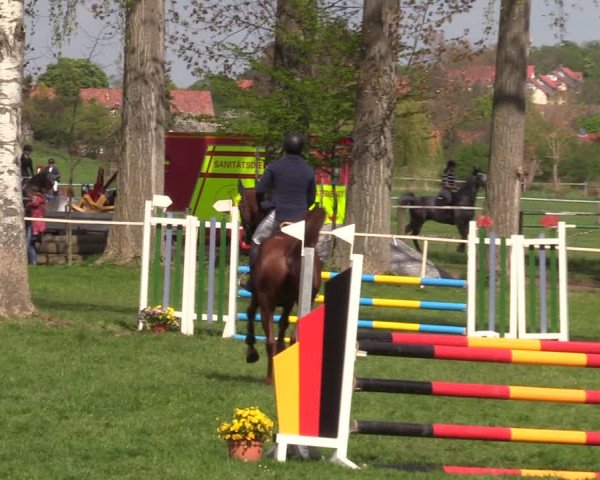 Reitturnier Derenburg 2022