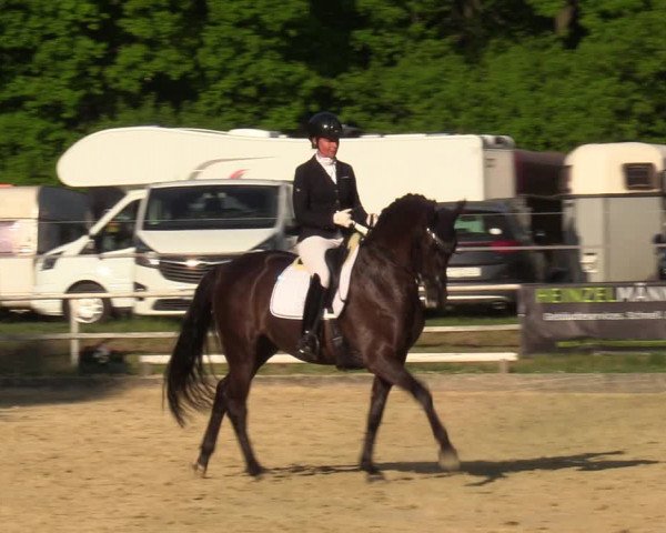 Reitturnier Dinslaken-Hiesfeld 2022