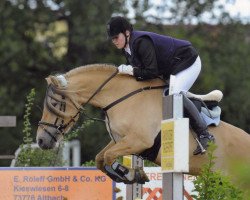 jumper Benji von Dreilinden (Fjord Horse, 1999, from Björlo)