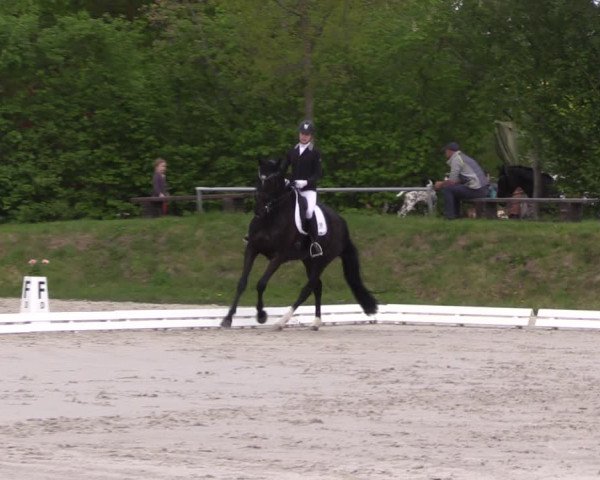 Reitturnier Pietzpuhl 2022