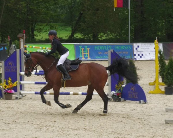 Reitturnier Karlsfeld 2022