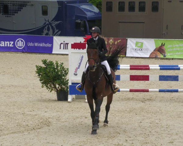 Reitturnier Karlsfeld 2022