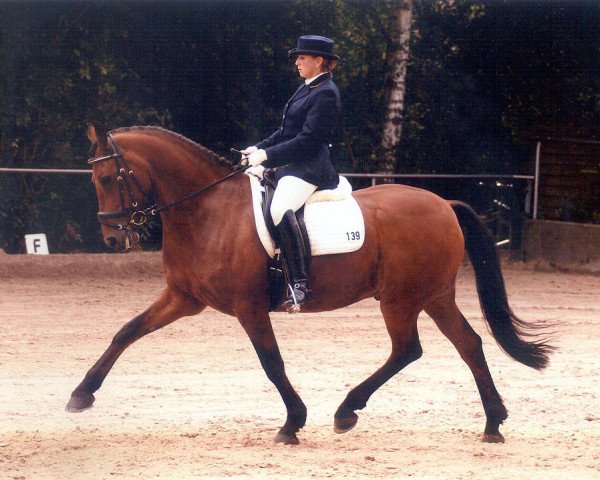 Pferd Daryl B (Deutsches Reitpony, 1993, von Derbino)
