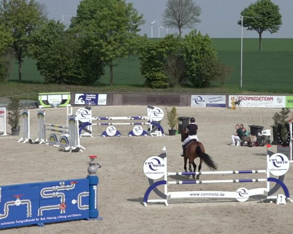 Reitturnier Harsum-Hüddessum 2022